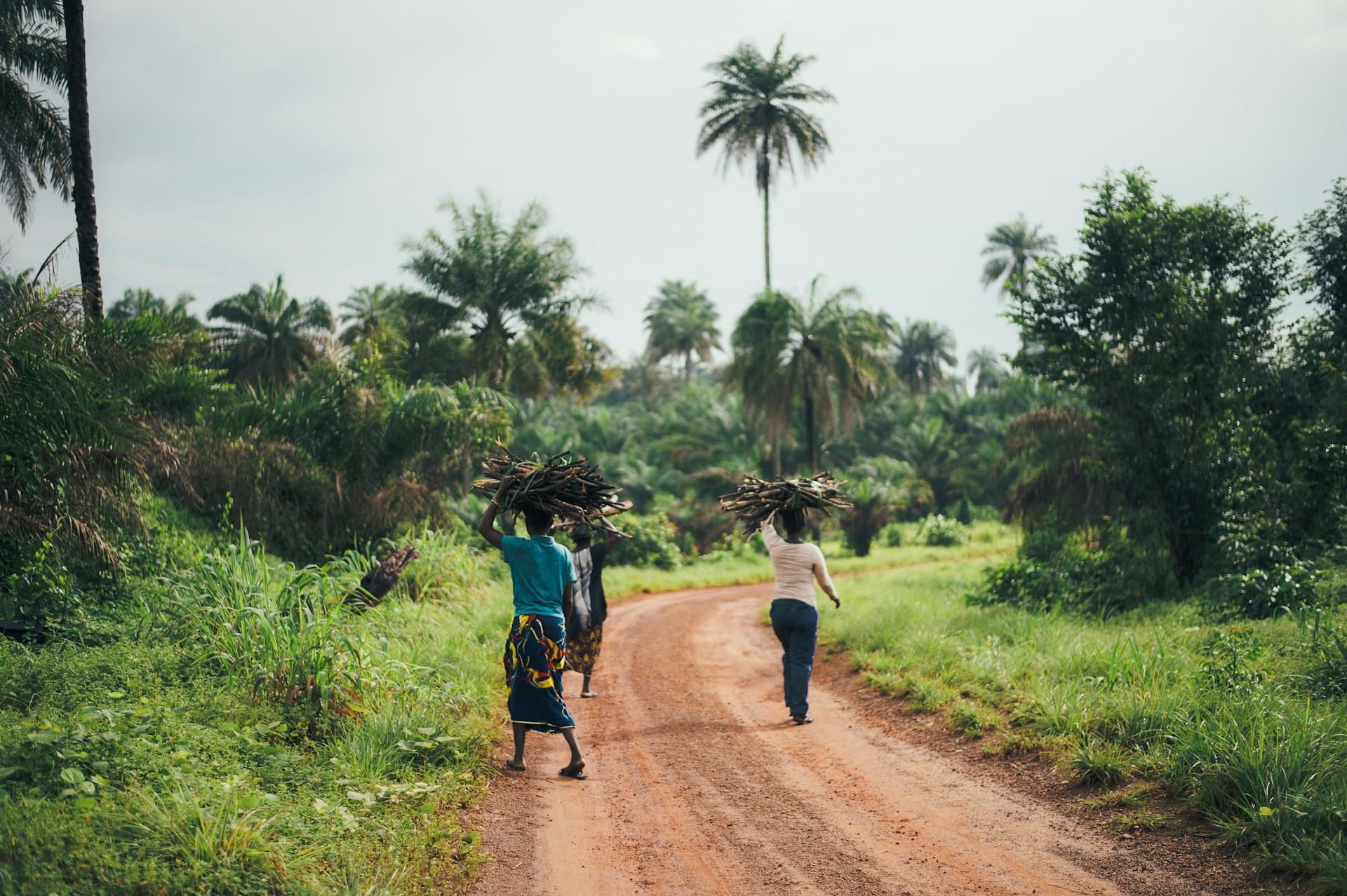 Affordable Land and Housing In Africa