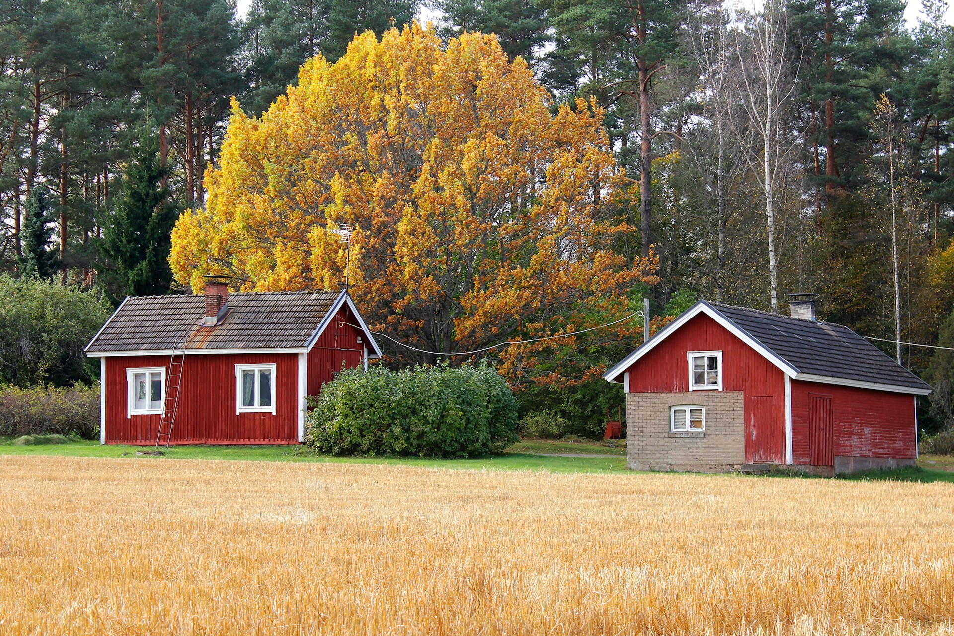 housing microfinance