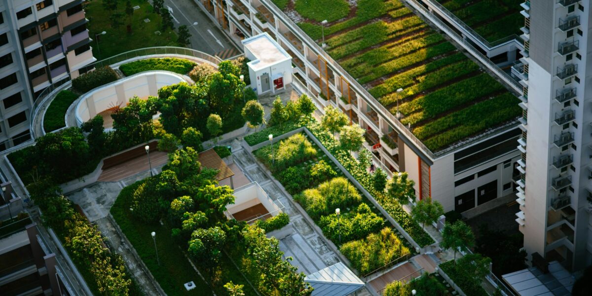 Benefits of Green Roof Systems